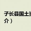 子长县国土资源局（关于子长县国土资源局简介）