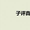 子评真诠（关于子评真诠简介）