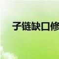 子链缺口修复（关于子链缺口修复简介）