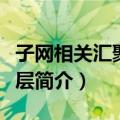 子网相关汇聚协议层（关于子网相关汇聚协议层简介）