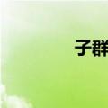 子群胚（关于子群胚简介）