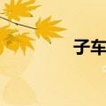 子车戈（关于子车戈简介）