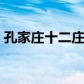孔家庄十二庄客（关于孔家庄十二庄客简介）