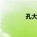 孔大山（关于孔大山简介）