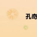 孔奇力（关于孔奇力简介）