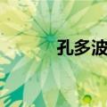 孔多波加（关于孔多波加简介）