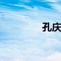 孔庆仪（关于孔庆仪简介）