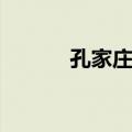 孔家庄镇（关于孔家庄镇简介）