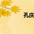 孔庆祥（关于孔庆祥简介）