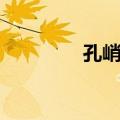 孔峭矾（关于孔峭矾简介）