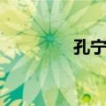 孔宁子（关于孔宁子简介）