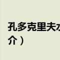 孔多克里夫水电站（关于孔多克里夫水电站简介）