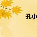 孔小瑜（关于孔小瑜简介）