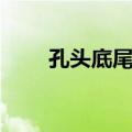 孔头底尾鳕（关于孔头底尾鳕简介）