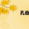 孔奋传（关于孔奋传简介）