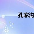 孔家沟村（关于孔家沟村简介）
