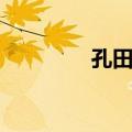 孔田镇（关于孔田镇简介）