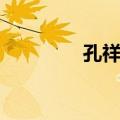 孔祥海（关于孔祥海简介）