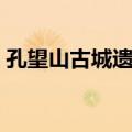 孔望山古城遗址（关于孔望山古城遗址简介）
