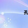 孔群（关于孔群简介）