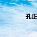 孔正锡（关于孔正锡简介）
