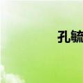 孔毓珣（关于孔毓珣简介）