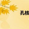 孔核组（关于孔核组简介）