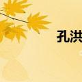 孔洪星（关于孔洪星简介）