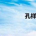 孔祥庚（关于孔祥庚简介）