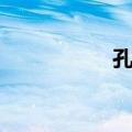 孔祯（关于孔祯简介）