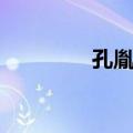 孔胤植（关于孔胤植简介）