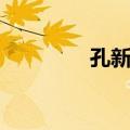 孔新军（关于孔新军简介）
