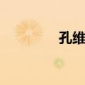 孔维越（关于孔维越简介）
