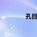 孔目湖（关于孔目湖简介）
