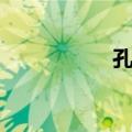 孔皓（关于孔皓简介）