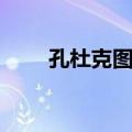 孔杜克图斯（关于孔杜克图斯简介）