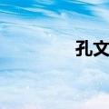 孔文燕（关于孔文燕简介）