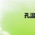孔温裕（关于孔温裕简介）