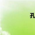 孔苌（关于孔苌简介）