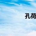孔荷宠（关于孔荷宠简介）