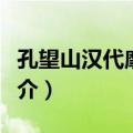 孔望山汉代摩崖像（关于孔望山汉代摩崖像简介）