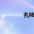 孔柿园（关于孔柿园简介）