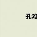 孔滩镇（关于孔滩镇简介）