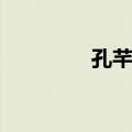 孔芊芊（关于孔芊芊简介）