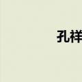 孔祥燕（关于孔祥燕简介）