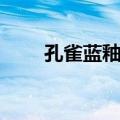 孔雀蓝釉瓶（关于孔雀蓝釉瓶简介）