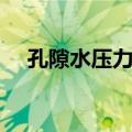 孔隙水压力计（关于孔隙水压力计简介）