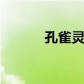 孔雀灵王（关于孔雀灵王简介）