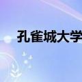 孔雀城大学里（关于孔雀城大学里简介）