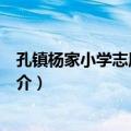 孔镇杨家小学志愿服务队（关于孔镇杨家小学志愿服务队简介）